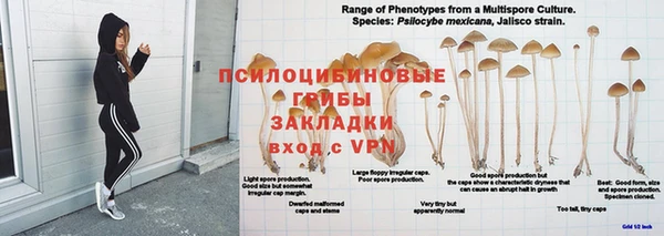 mdma Ельня