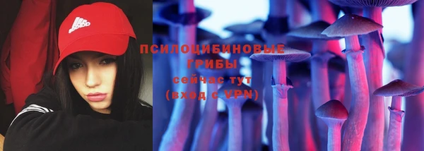 mdma Ельня