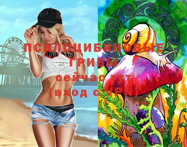 шишки Елабуга