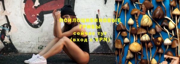 шишки Елабуга