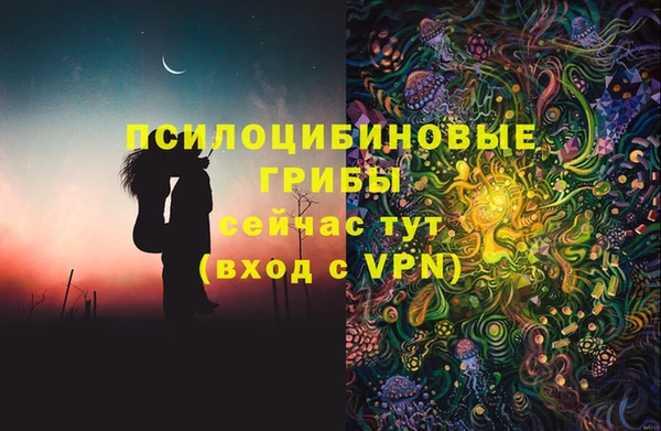 МДМА Елизово