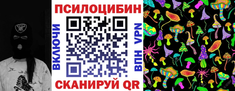 Купить закладки  Минусинск  Галлюциногенные грибы мухоморы 